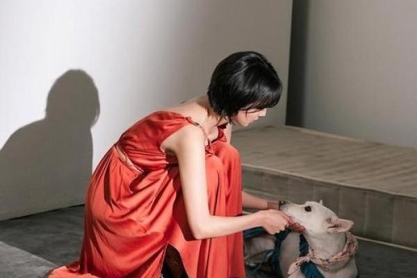 个子矮的女人：命运、挑战与无尽的可能性
