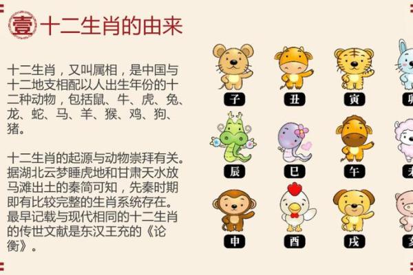 揭开生肖背后的秘密：哪个生肖命最短？