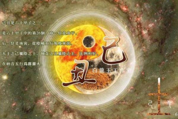 90年正月十六出生的人命运解析与人生启示 90年正月十六出生的人命运解析与人生启示