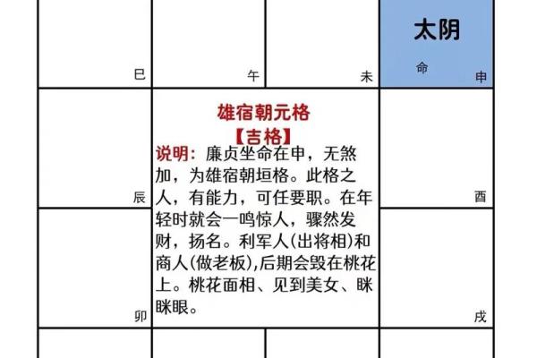 探索命理：太阳太阴男命的意义与影响