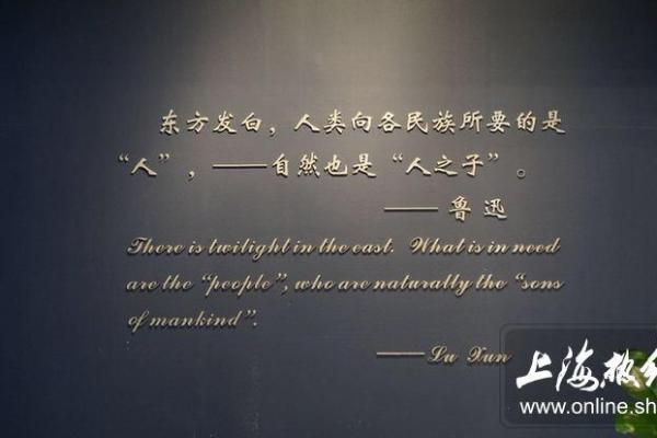 1994山头火命：探索人生的光辉与挑战