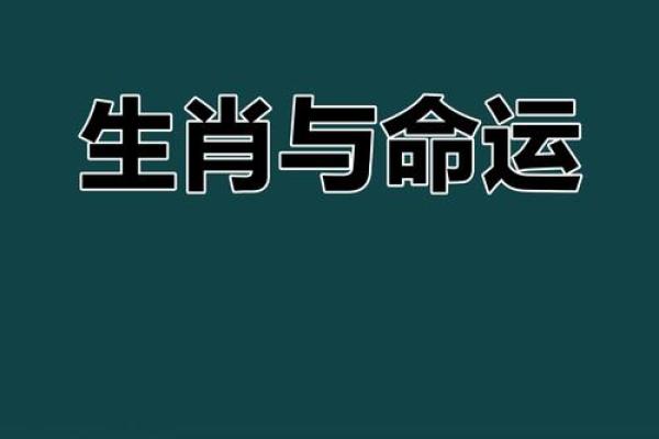 77岁是什么命属什么生肖？深入探索命理与生肖的奥秘