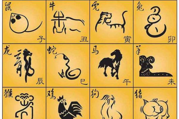 猪年6月28日出生的人命运解析与性格特征
