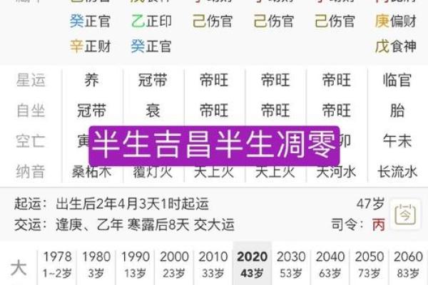 甲午生肖命格解析：探索马年出生者的命运之路