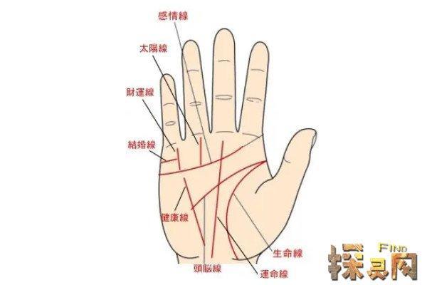 手相学解析：浅纹命理的秘密与人生启示