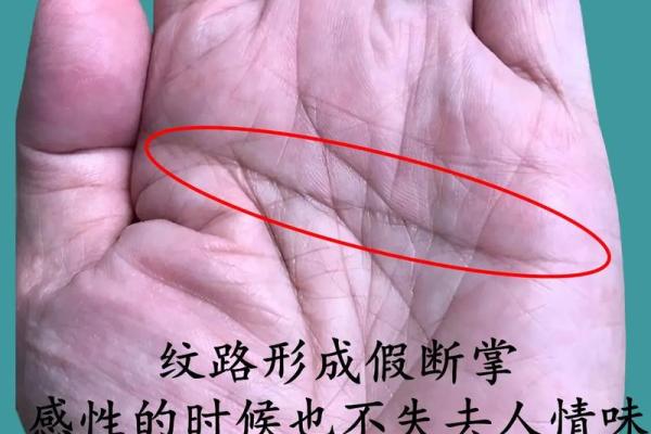 揭开女人断掌纹的命运秘密：盘点断掌女人的性格与人生轨迹