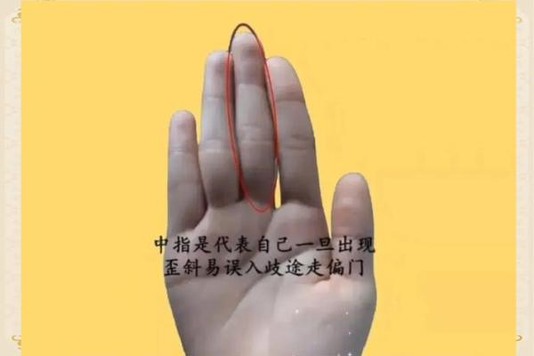 探索手纹奥秘：读懂你命运的暗示与可能性