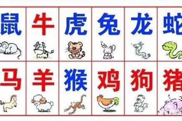 1966年出生的人，属于哪种水命？深入解析其命理特征与生活影响