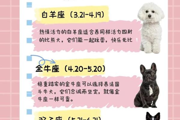 火星命者适合养什么宠物呢？揭秘适合火星命的宠物类型！