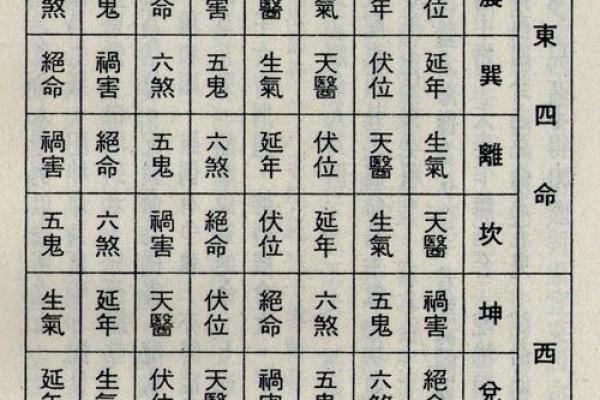 女命兑卦解析：揭示属兔女性的命运与性格特点