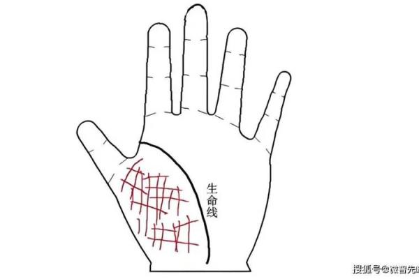 探秘手掌生命线：特别花纹揭示你的命运轨迹