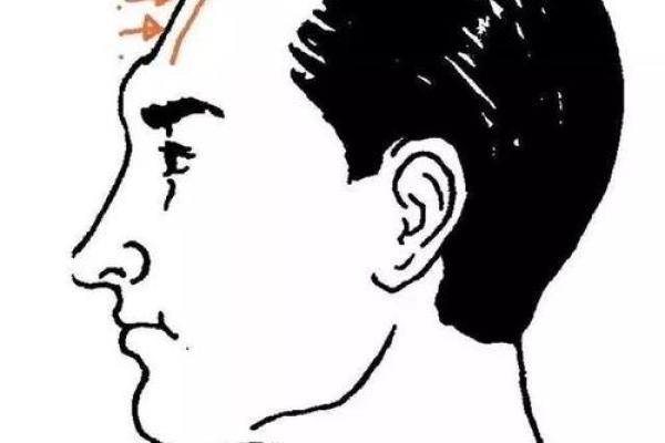 额头的命运：揭秘不同额头形状所蕴含的性格与命理