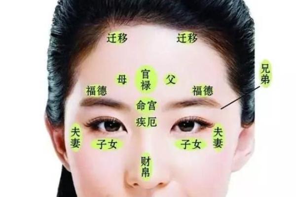 人中有凸起，揭示命运秘密的心理学与相术结合之道
