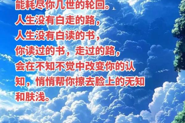 公子一命与六命的深刻解析：命运的轮回与人生的抉择