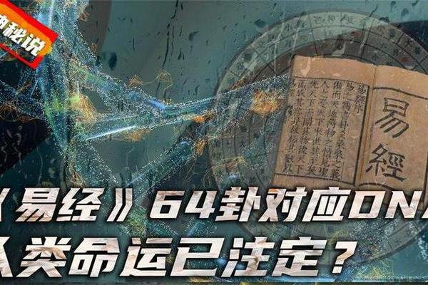 解读命理：什么人什么命，揭开命运之谜的神秘面纱