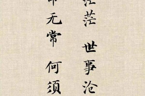 命不分贵贱，生命的价值与尊严探讨