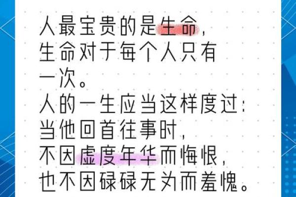 命不分贵贱，生命的价值与尊严探讨