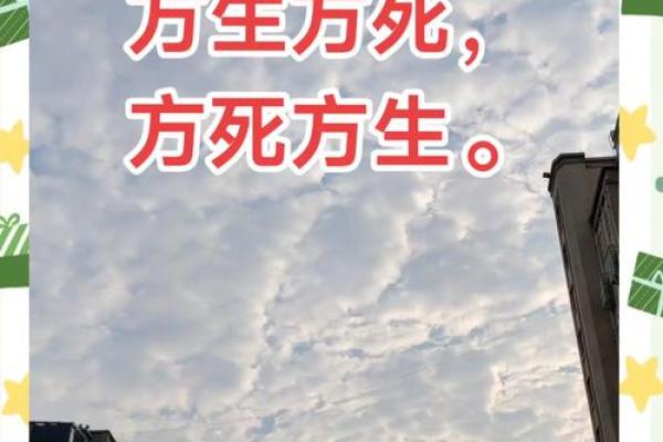 尸骨枯萎,命运之轮:探索生命与死亡的深刻哲理 尸骨枯萎,命运之轮:探索生命与死亡的深刻哲理