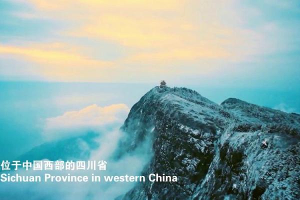天府坐命：寻找你的职业最佳匹配之路