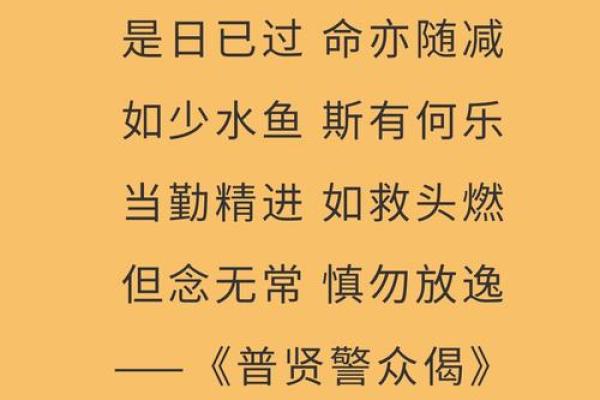 命已是什么意思？探讨命运与人生的深刻含义