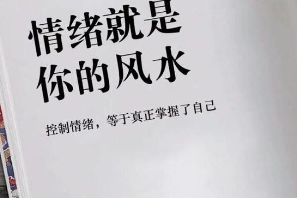 情绪的魔力：如何掌控心灵，创造美好人生