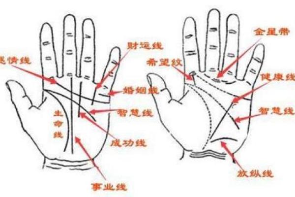 揭开手纹之谜：男人真正命运的迹象！