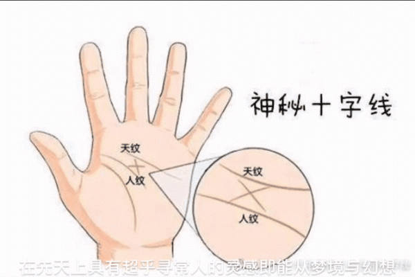 手掌如此柔软，背后隐藏着什么命运？探秘掌纹与性格的奥秘！