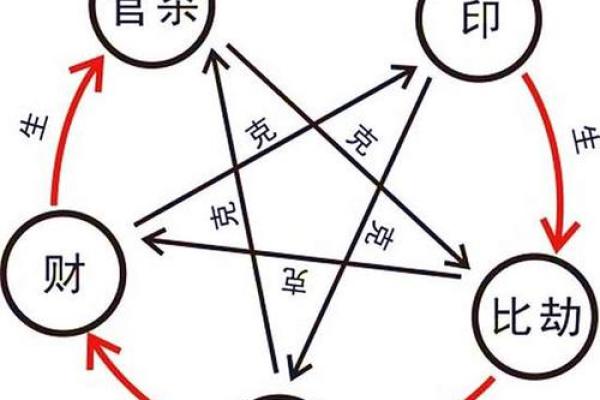 探秘己巳年酉时命运，揭开命理的神秘面纱