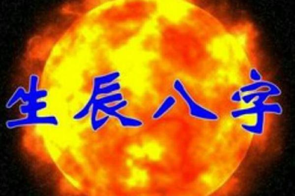 探秘己巳年酉时命运，揭开命理的神秘面纱