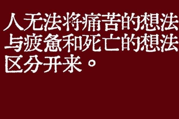 受累命：探索为何有些人总是遭受生活的重创和痛苦