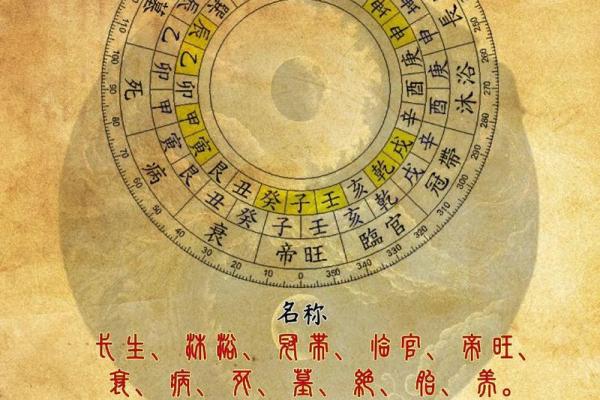 男命四两九与女命的区别：命理解读与人生启示