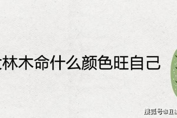 水命与木命适合的车牌号码选择指南