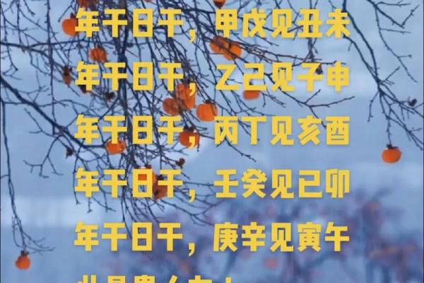 命理智慧：探索人生方向的指南针