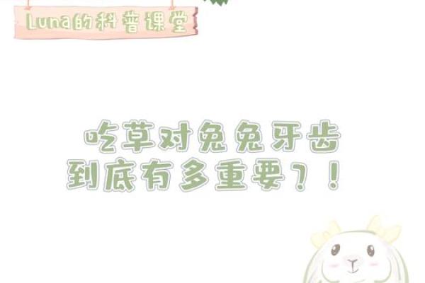兔年兔吃草：一场与自然和谐共生的生命哲学