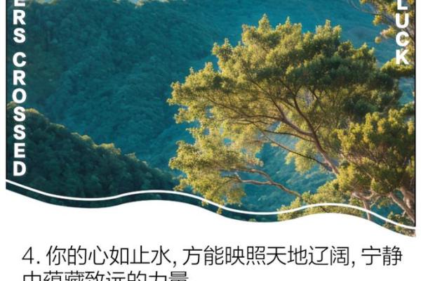 无欲无求，静享人生的诗意与宁静