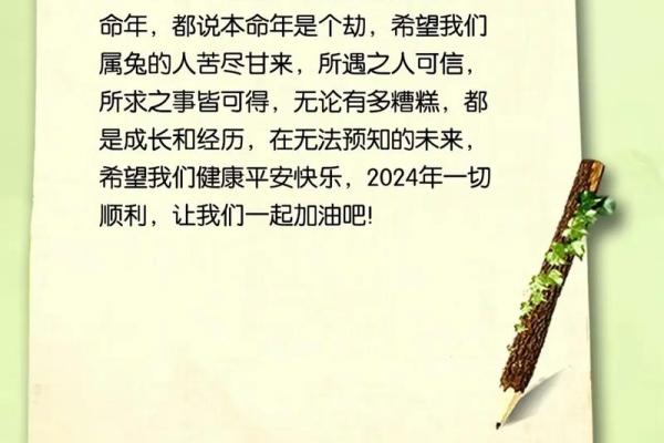 1987兔命解析：缺失与补充，助你迎接美好机遇！
