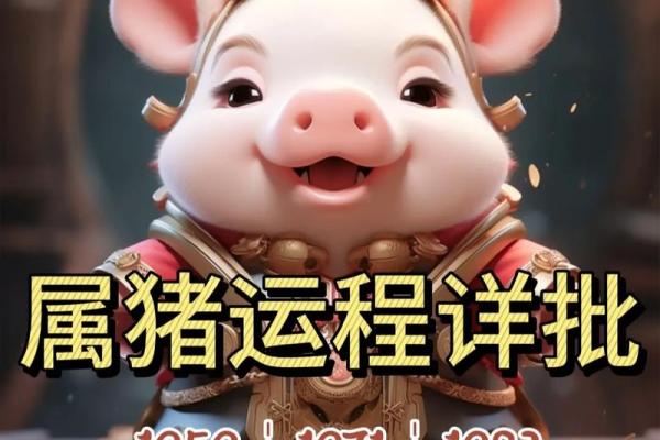 1971年属猪人命运解析：智勇双全的成功之路