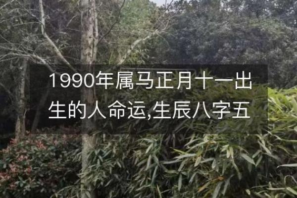探秘1990属马之人：生肖与命运的奇特关联