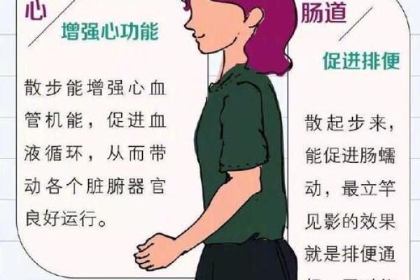 走路头重脚轻，轻松解析你的命运走向