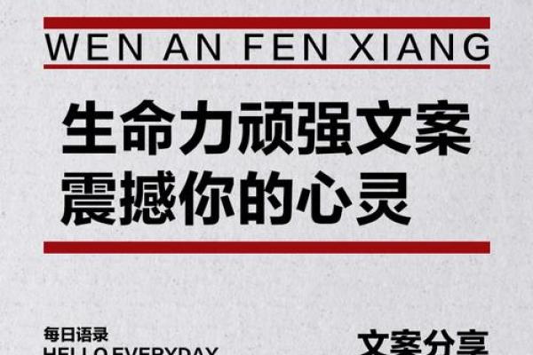 苦命的娃娃：在逆境中绽放的生命之花
