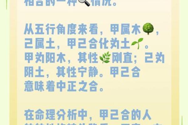 探索甲木命的生相特点与命理之路