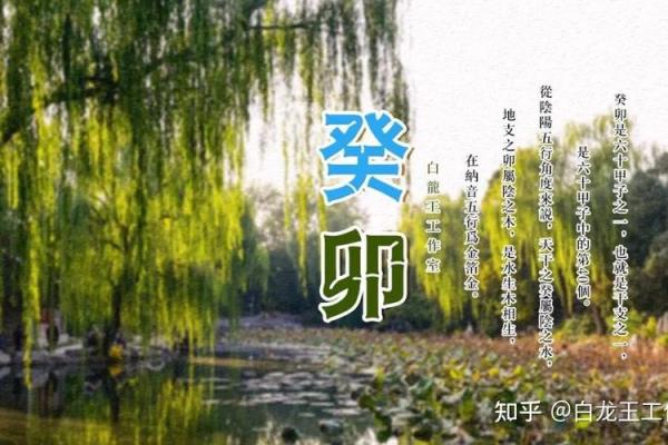 2019年命行解析：探索你的命运轨迹与选择