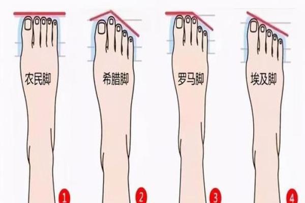 香菱五命与六命的区别分析：命运的深刻探讨