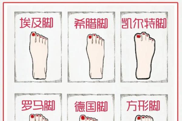 脚型与命运：如何通过鞋子揭示你的人生轨迹与性格特征
