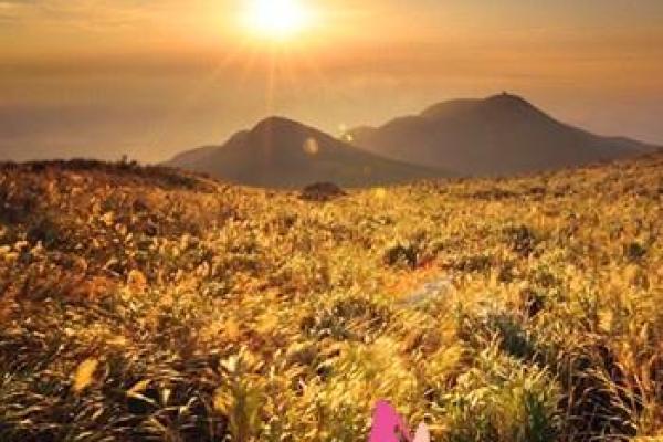 土命之人适合的居住环境与风水指导