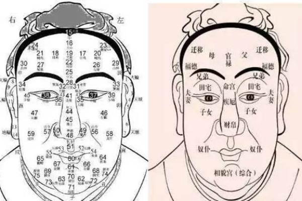 眉头前凸的命理解析：这些面相特征让你更具魅力与贵人运！