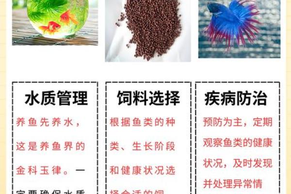 为什么有些命格不能养金鱼？探秘金鱼的禁忌与命理关系