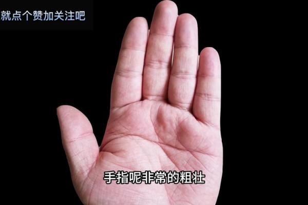 左手断手纹的命运解析：揭示生活中的秘密与机遇
