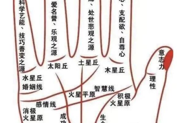 左手断手纹的命运解析：揭示生活中的秘密与机遇