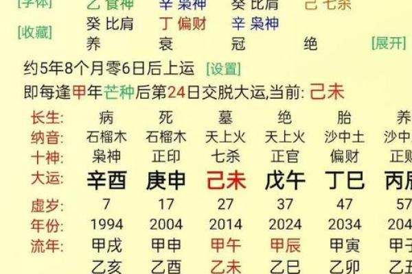命占是什么？解读命占的深层含义与实际应用
